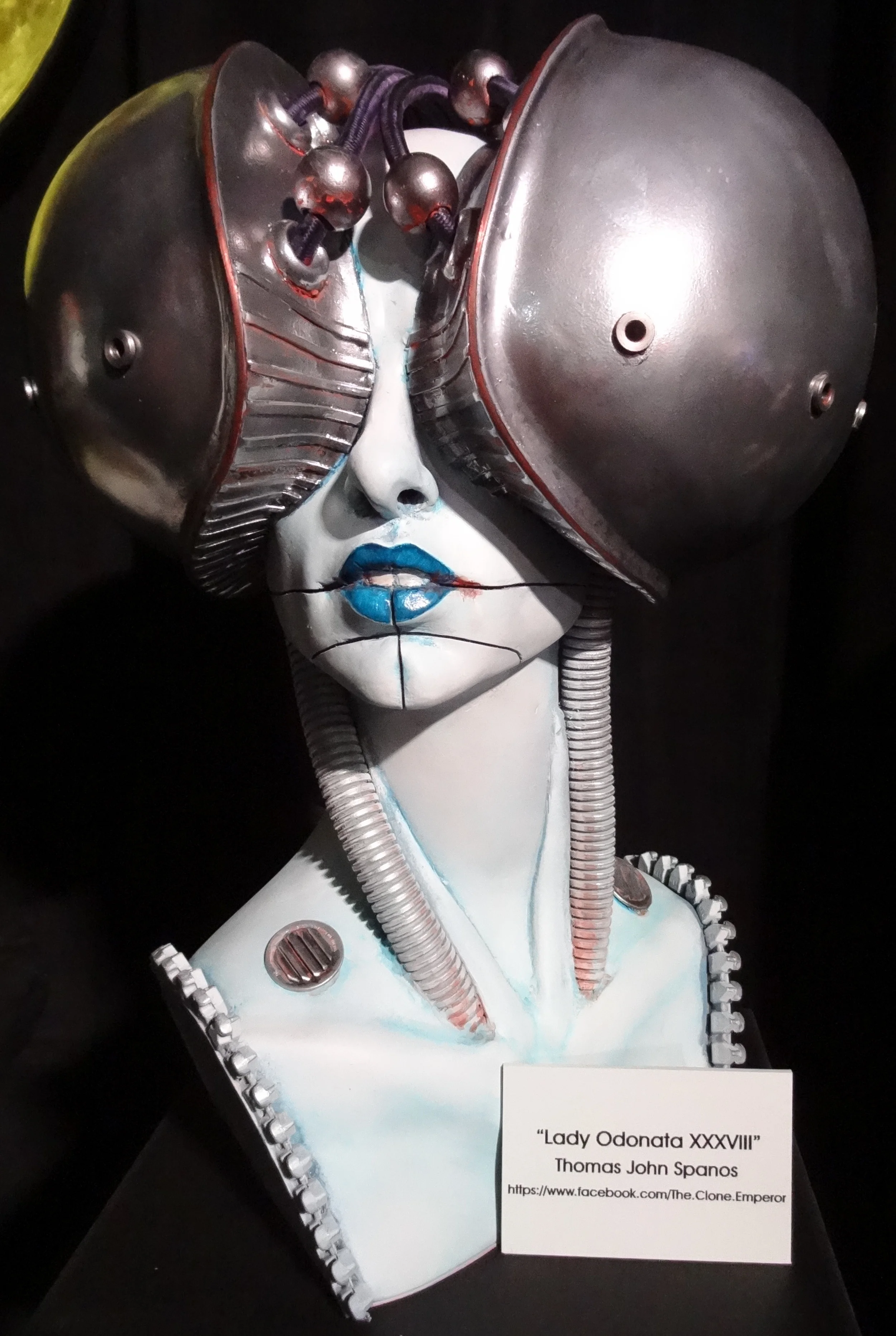 DSC02114.JPG