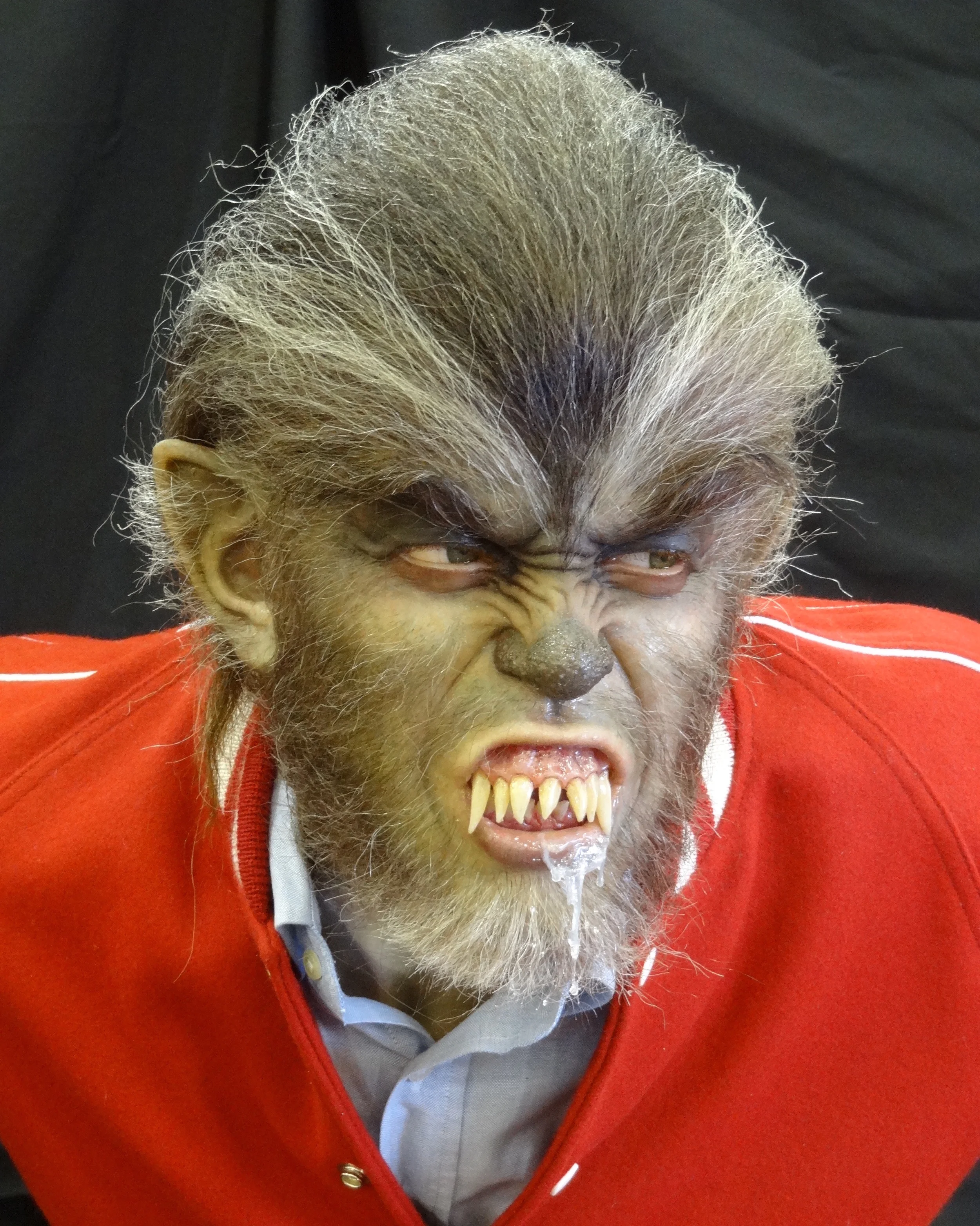 DSC03084.jpg