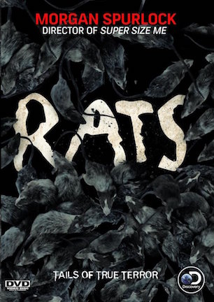 Rats.jpg