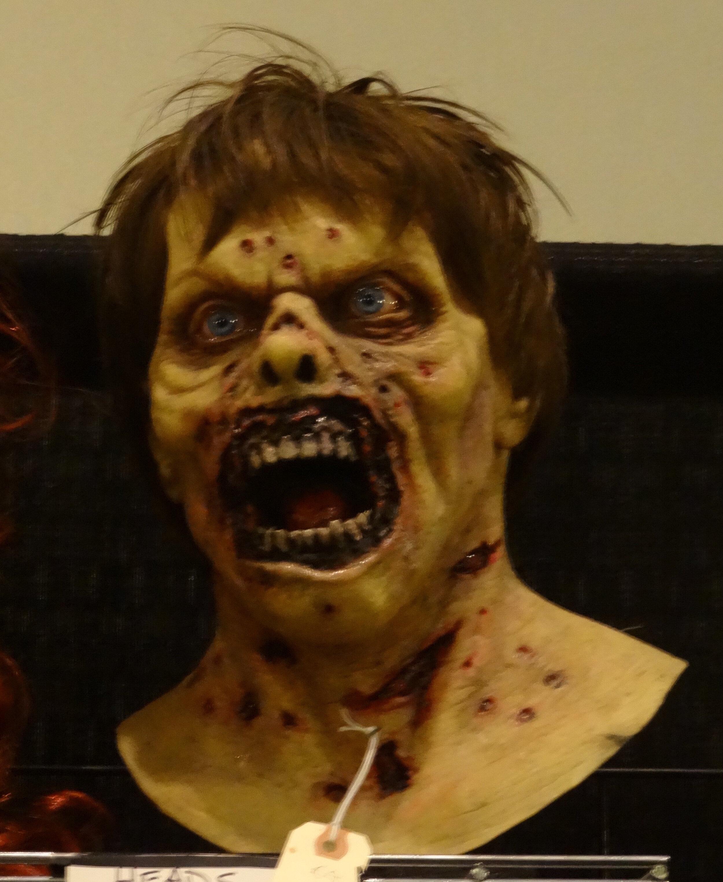 DSC03813.jpg
