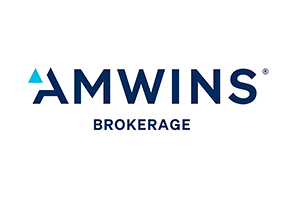 AMWINS -300x200.png