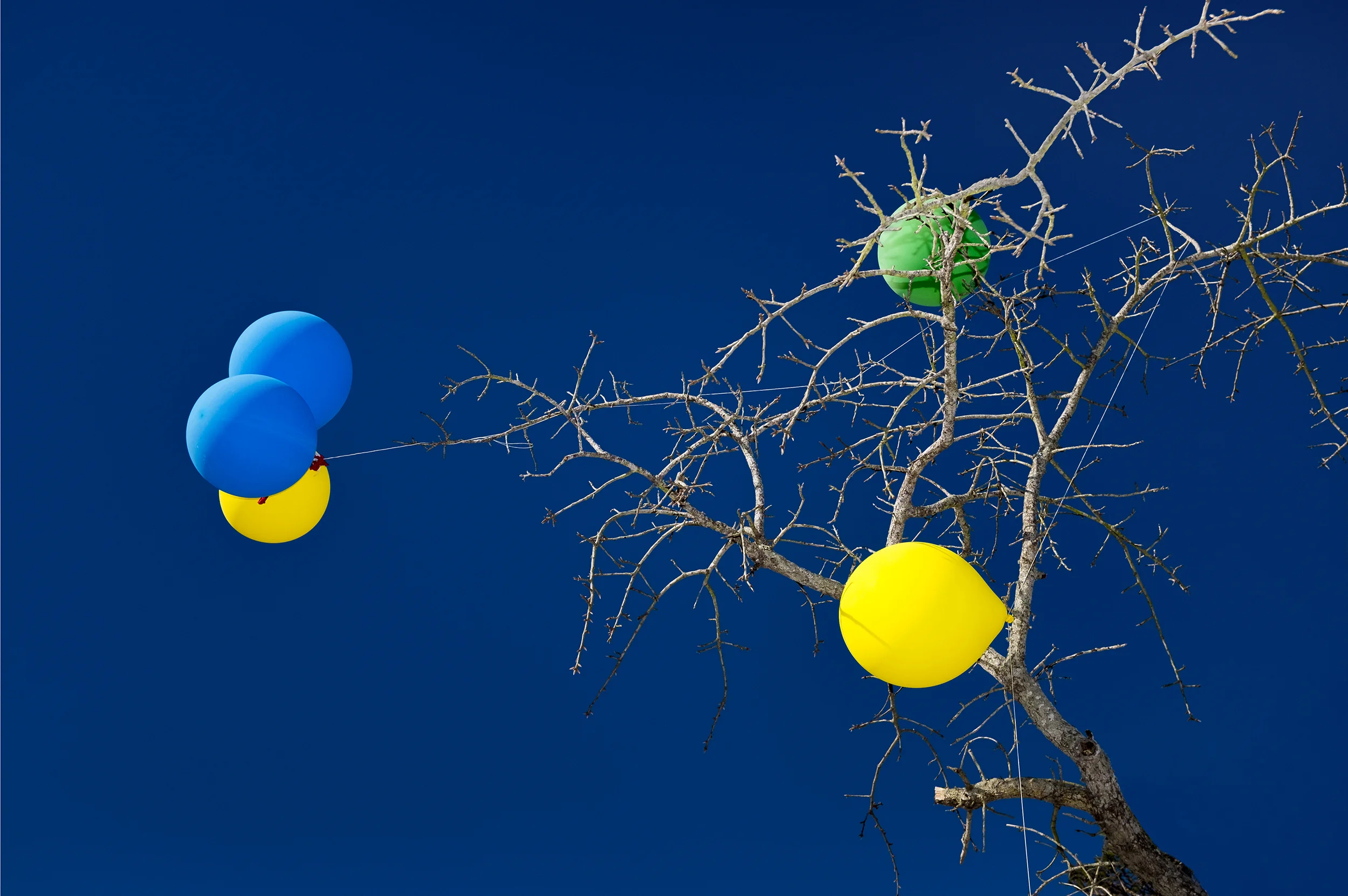 BalloonFinal.jpg