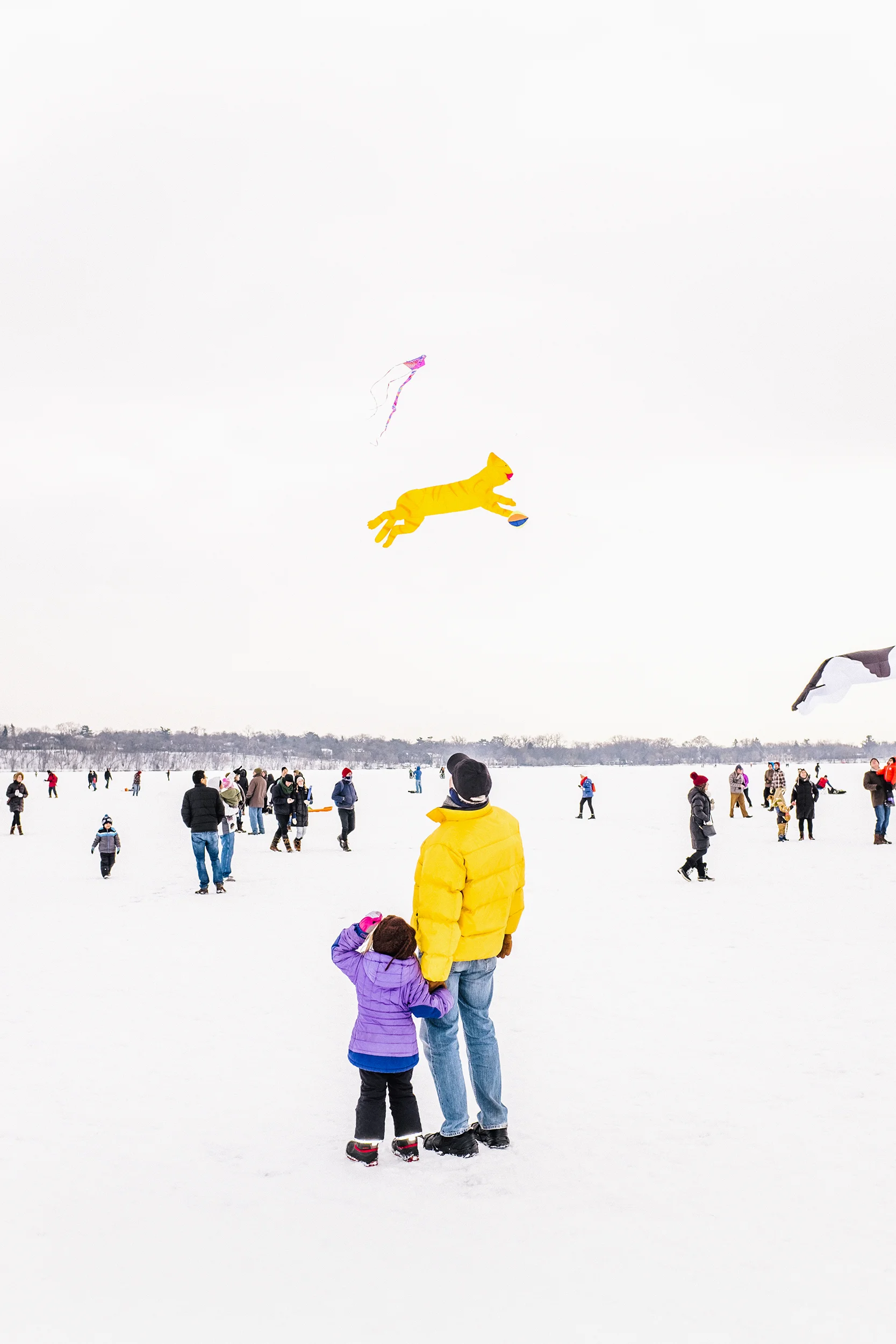 KiteFinal.jpg