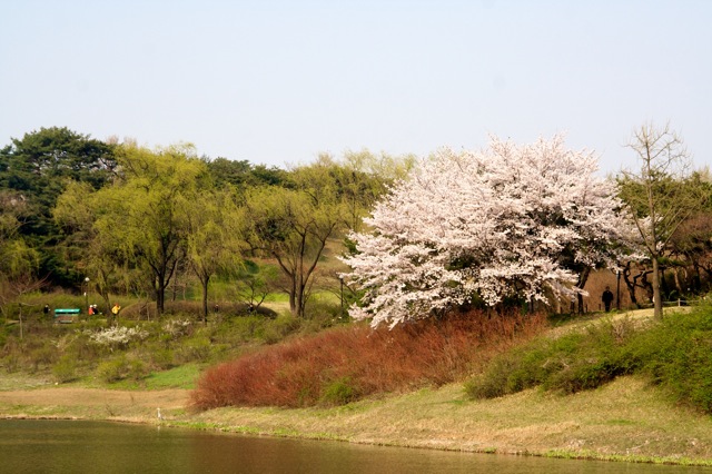 A beautiful Spring day in Olympic Park