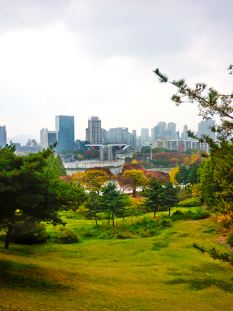 Images of Autumn, Seoul 2009