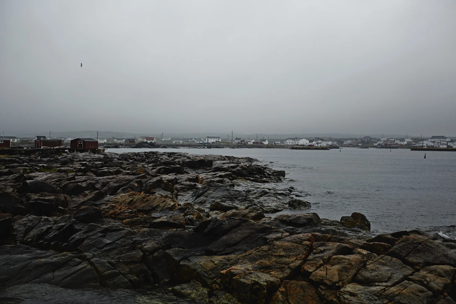 5-FogoIsand2013-578.jpg