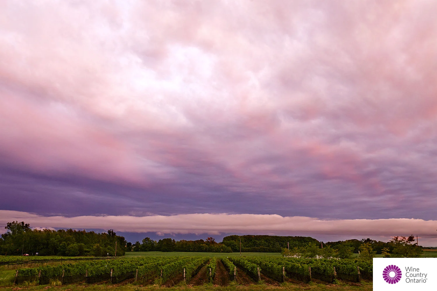 PrinceEdwardCounty-093.jpg