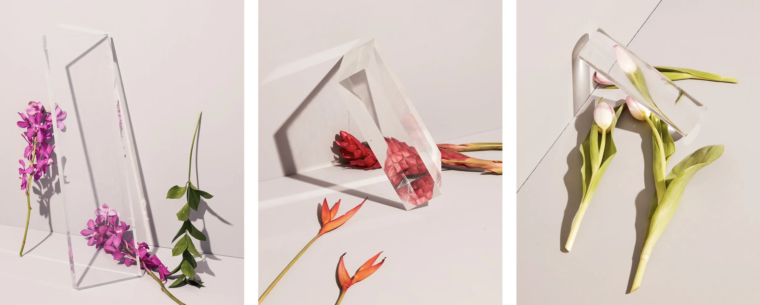 Florals-01.jpg