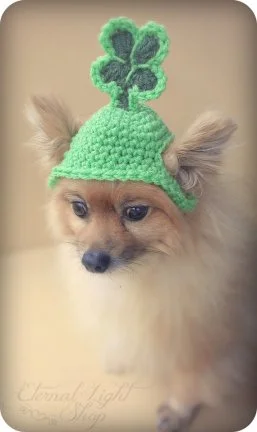 22 Dogs Having The Craic on St. Patrick's Day