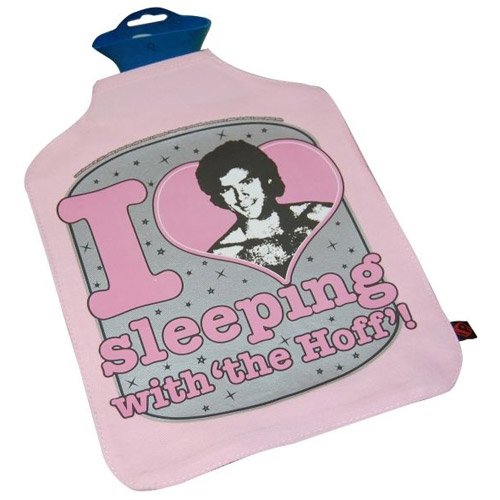 The Hoffsicle, and Other Totally Weird David Hasselhoff Merchandise on the World Wide Web