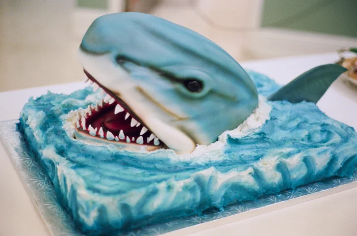 Shark Cakes- Eat them Before They Eat You