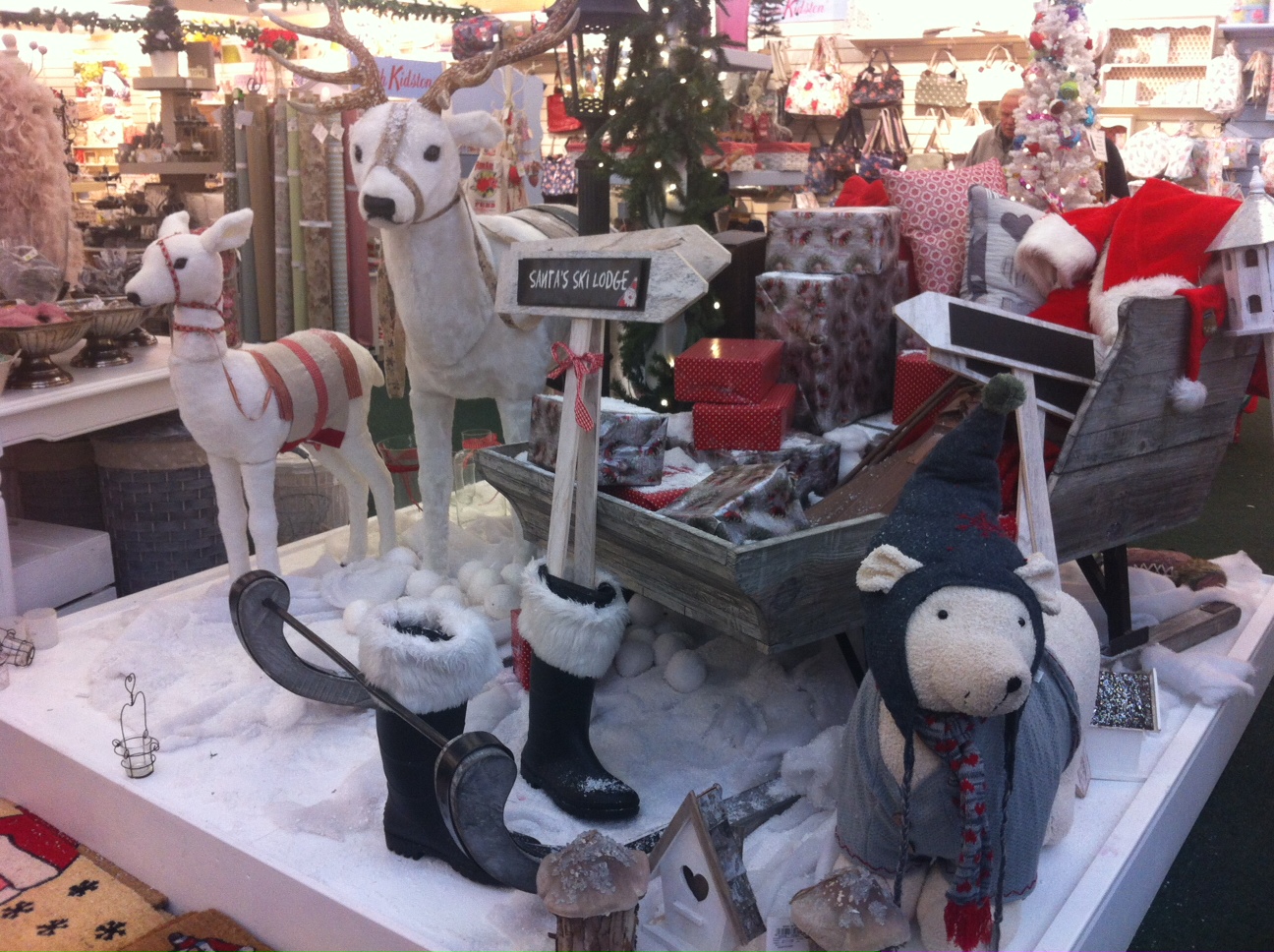 Christmas at Creative Gardens, Donaghadee, N.Ireland