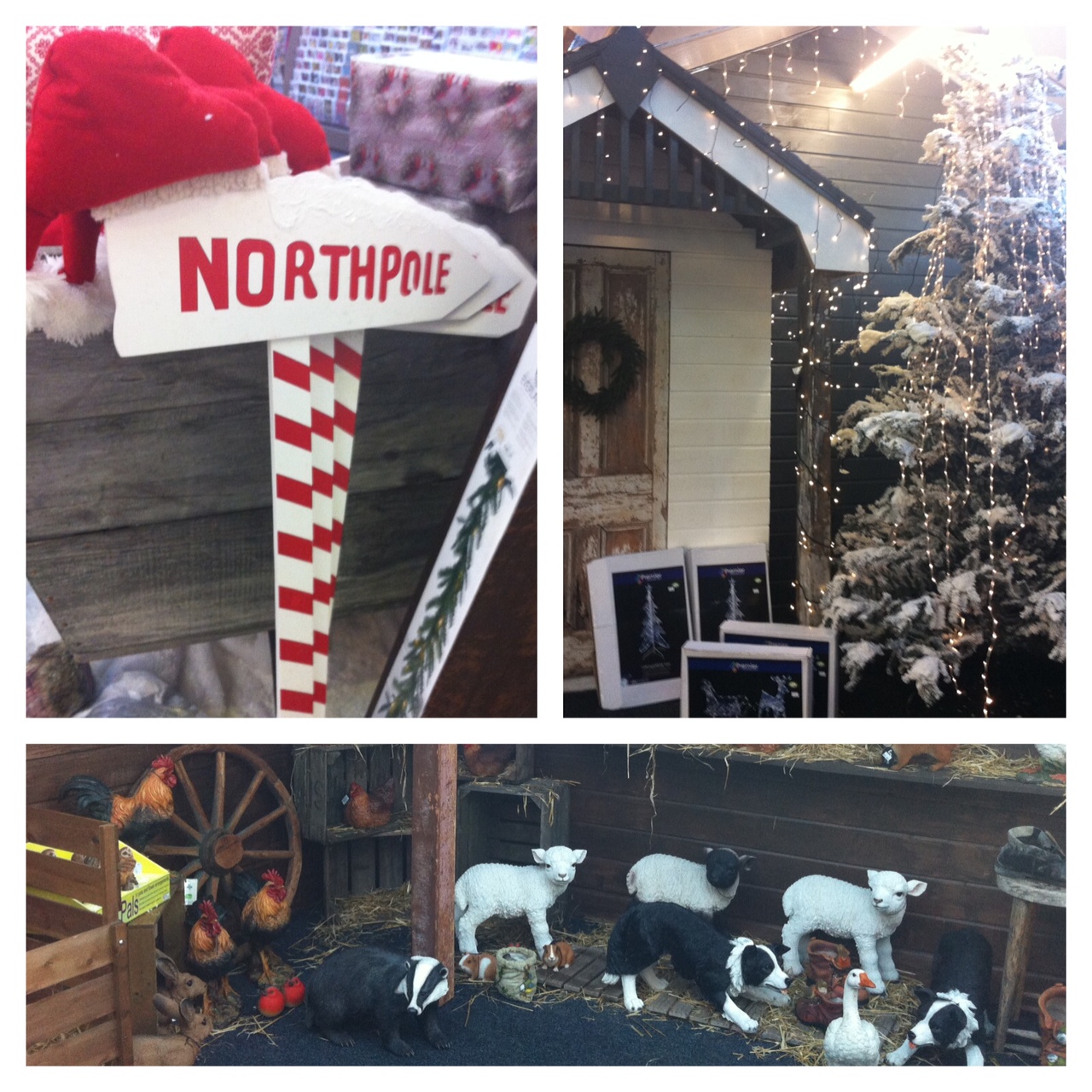 Christmas at Creative Gardens, Donaghadee, N.Ireland