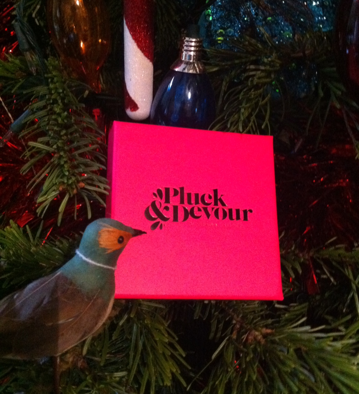 Pluck & Devour For a Last Minute Gift Idea with No Need to Wait for Shipping!