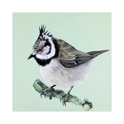 Dollybirds Art