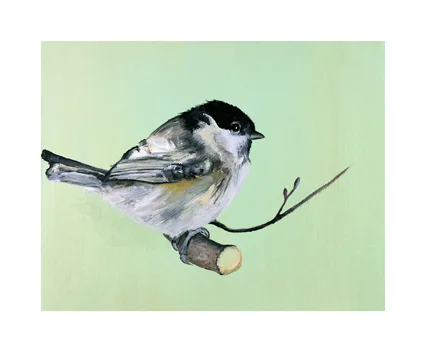 Dollybirds Art