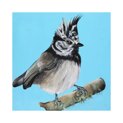 Dollybirds Art
