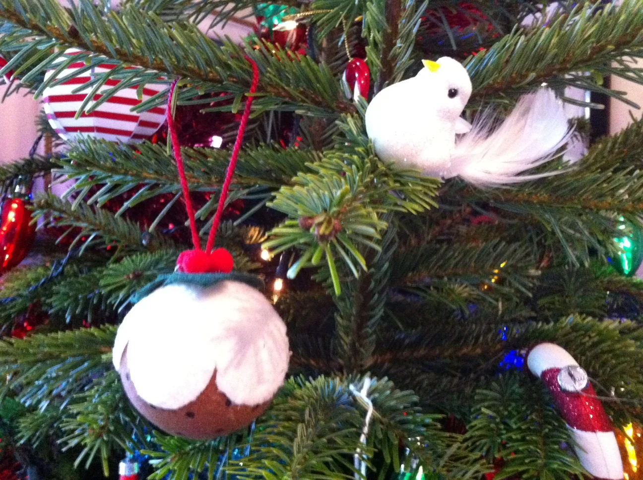 £25 Real Christmas Tree from Ikea, Belfast- Comes With £20 Voucher to spend in January!