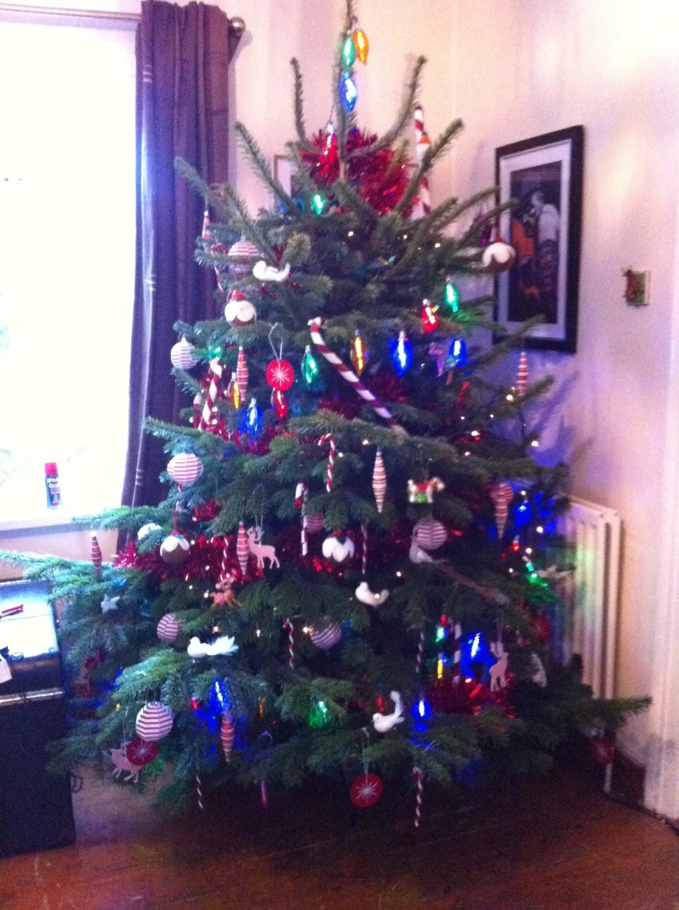 £25 Real Christmas Tree from Ikea, Belfast- Comes With £20 Voucher to spend in January!