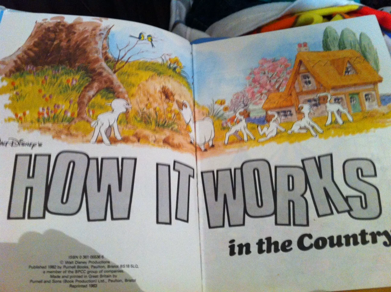 Vintage Disney, How It Works in the Country