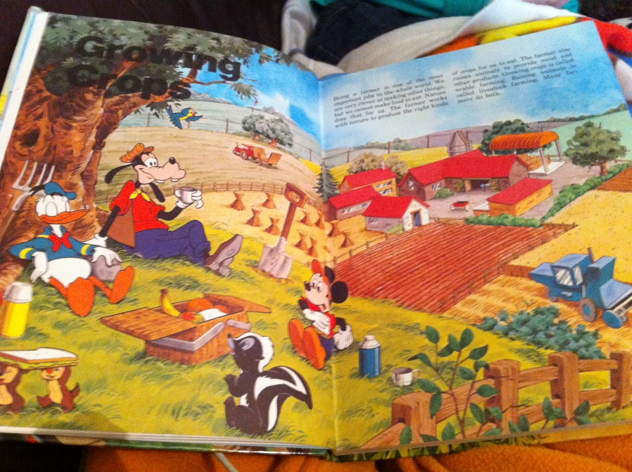Vintage Disney, How It Works in the Country