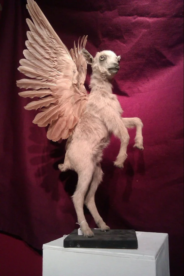 I Love You, Last Tuesday Society. Winged Puppies.