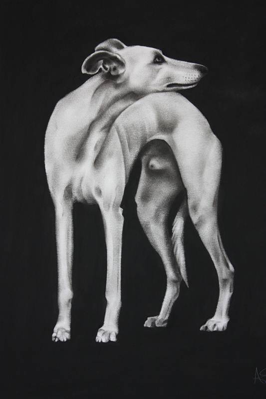 Win a Stunning Charcoal Portrait of Your Pet or Favourite Animal