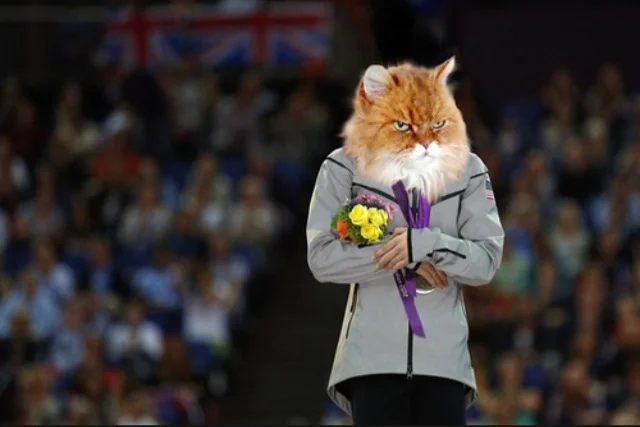 The Cat Olympics