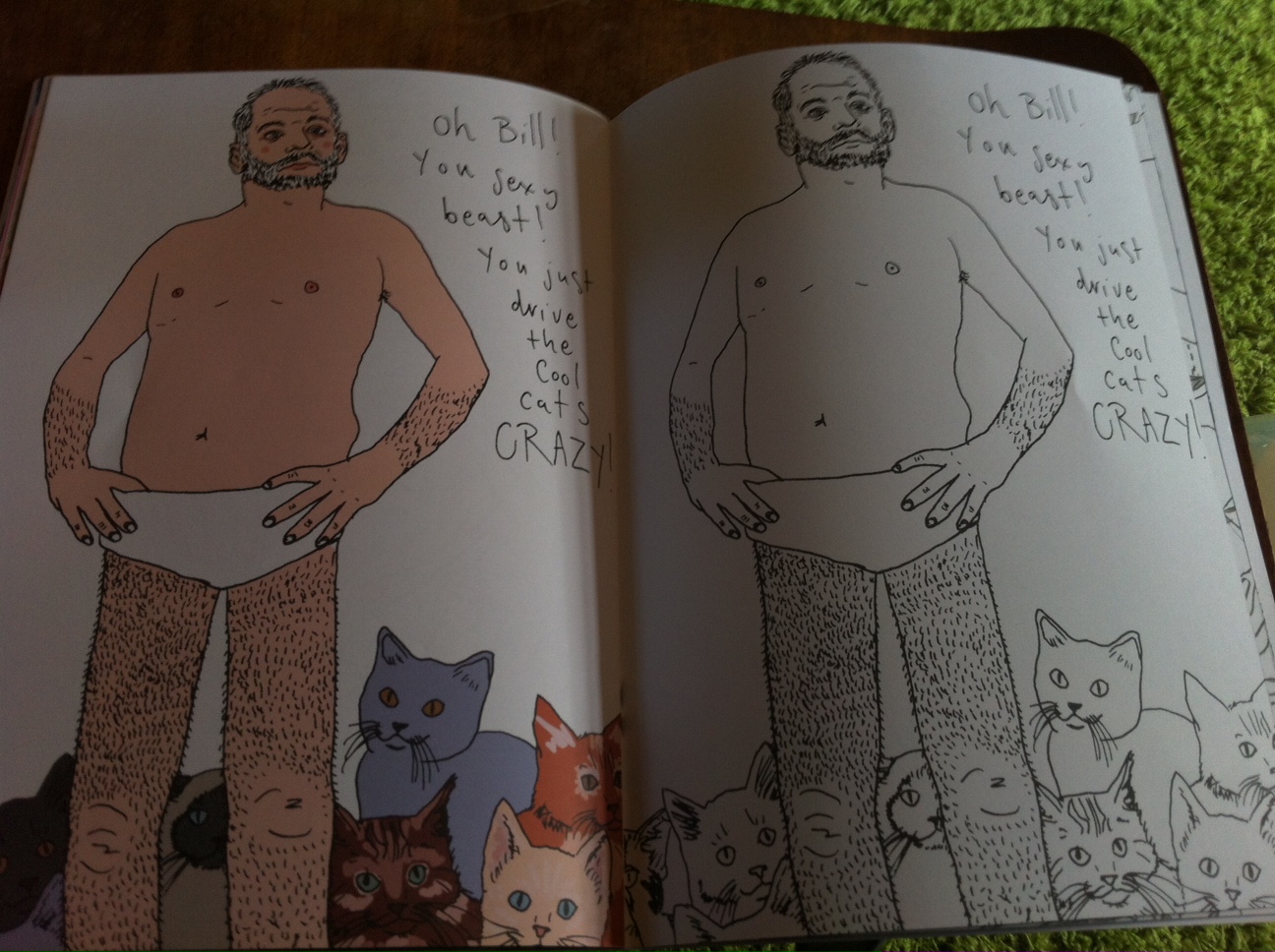 What's That? Oh, That's Just My Bill Murray Colouring Book That Arrived Today