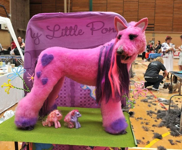 The Mighty Dragon Poodle