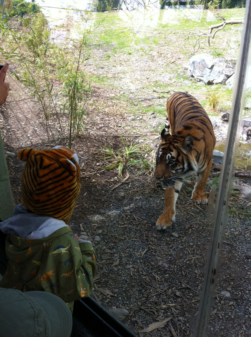 Trip to Dublin Zoo with Ikea Picnic Goodies