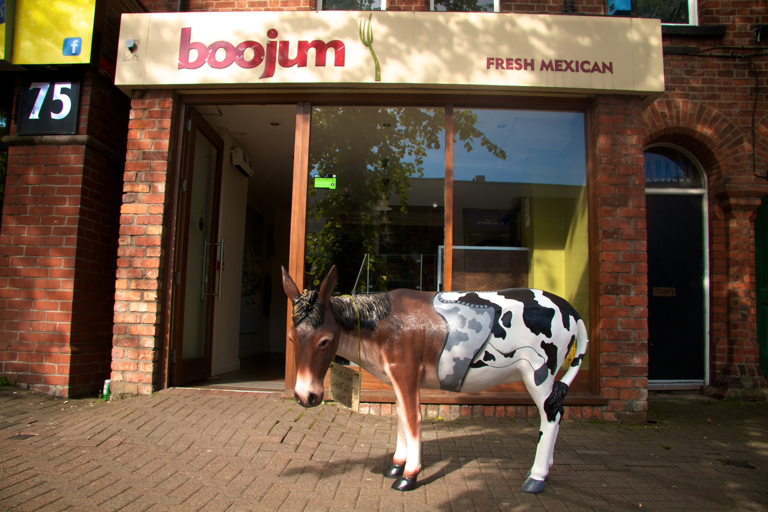 Boojum's Mexican Donkey Parade