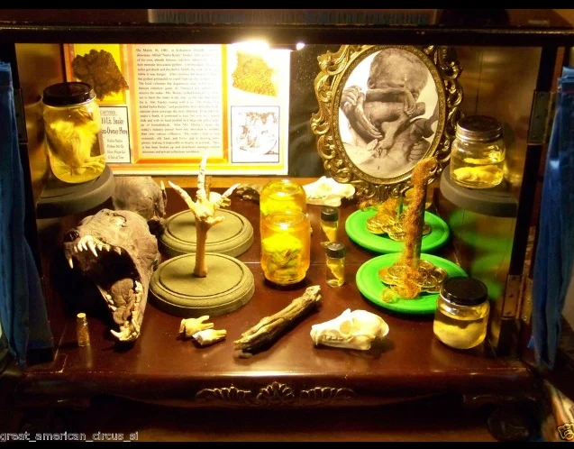 Instant Circus Freak Sideshow on EBay