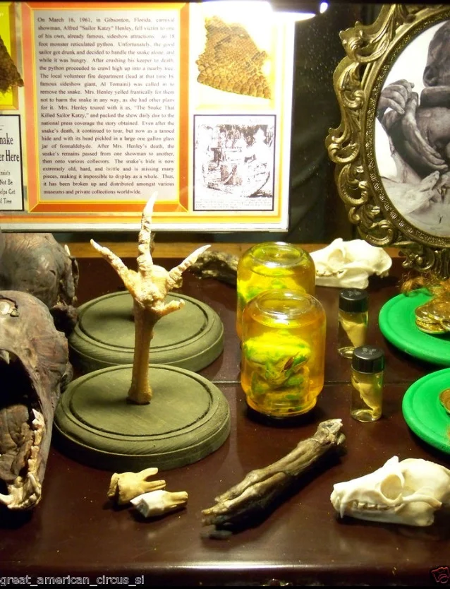 Instant Circus Freak Sideshow on EBay