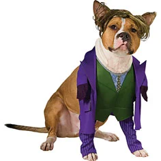 Indiana Bones & Other So-bad-they-are-good Dog Costumes