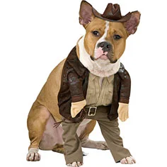 Indiana Bones & Other So-bad-they-are-good Dog Costumes