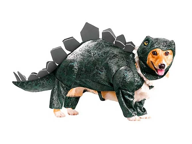 Indiana Bones & Other So-bad-they-are-good Dog Costumes