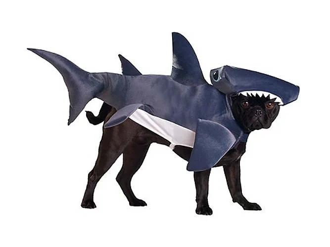 Indiana Bones & Other So-bad-they-are-good Dog Costumes