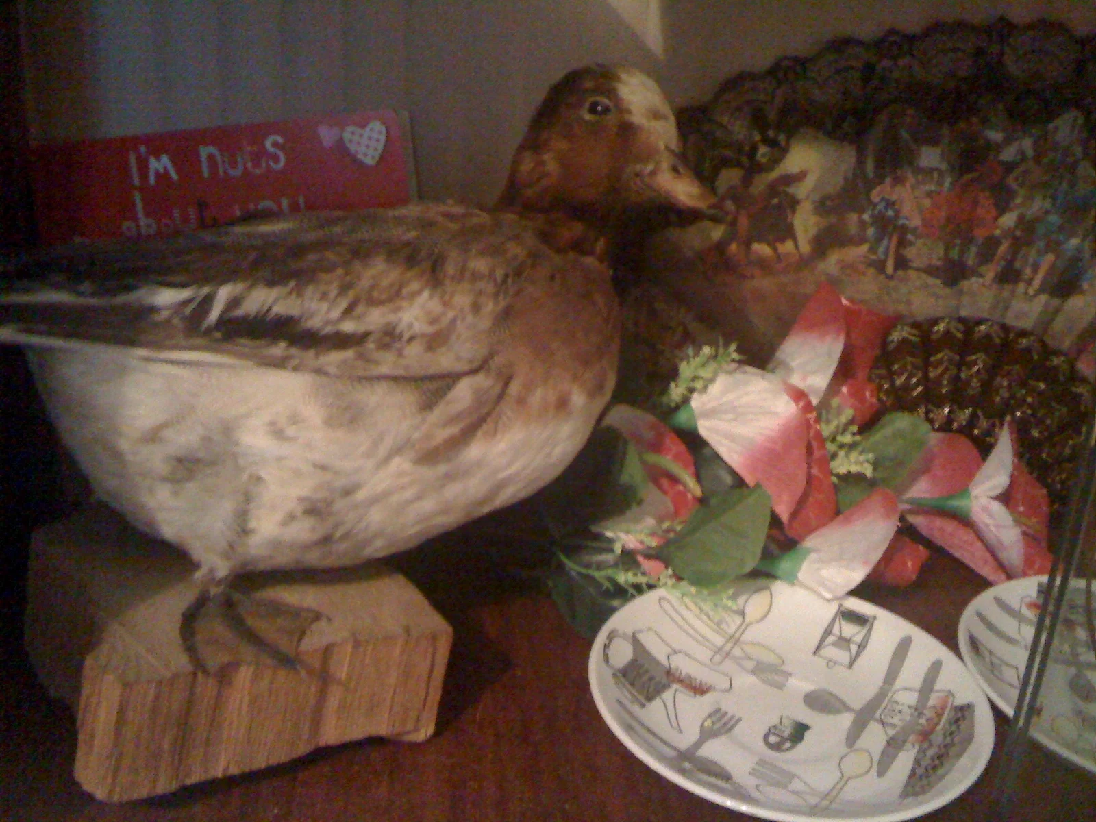 Kitsch Display Snapshot — The World of Kitsch