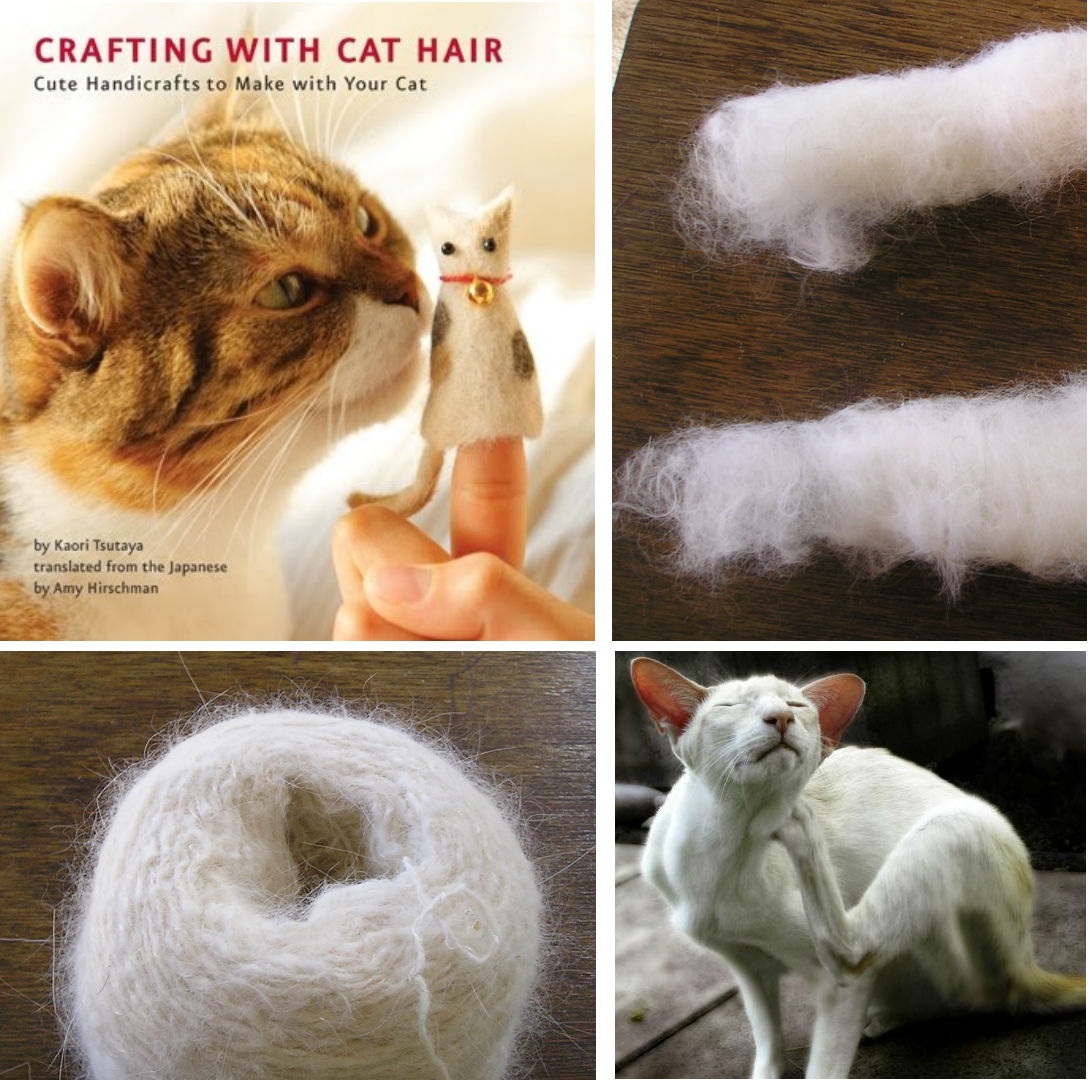 How to Craft with CAT HAIR 