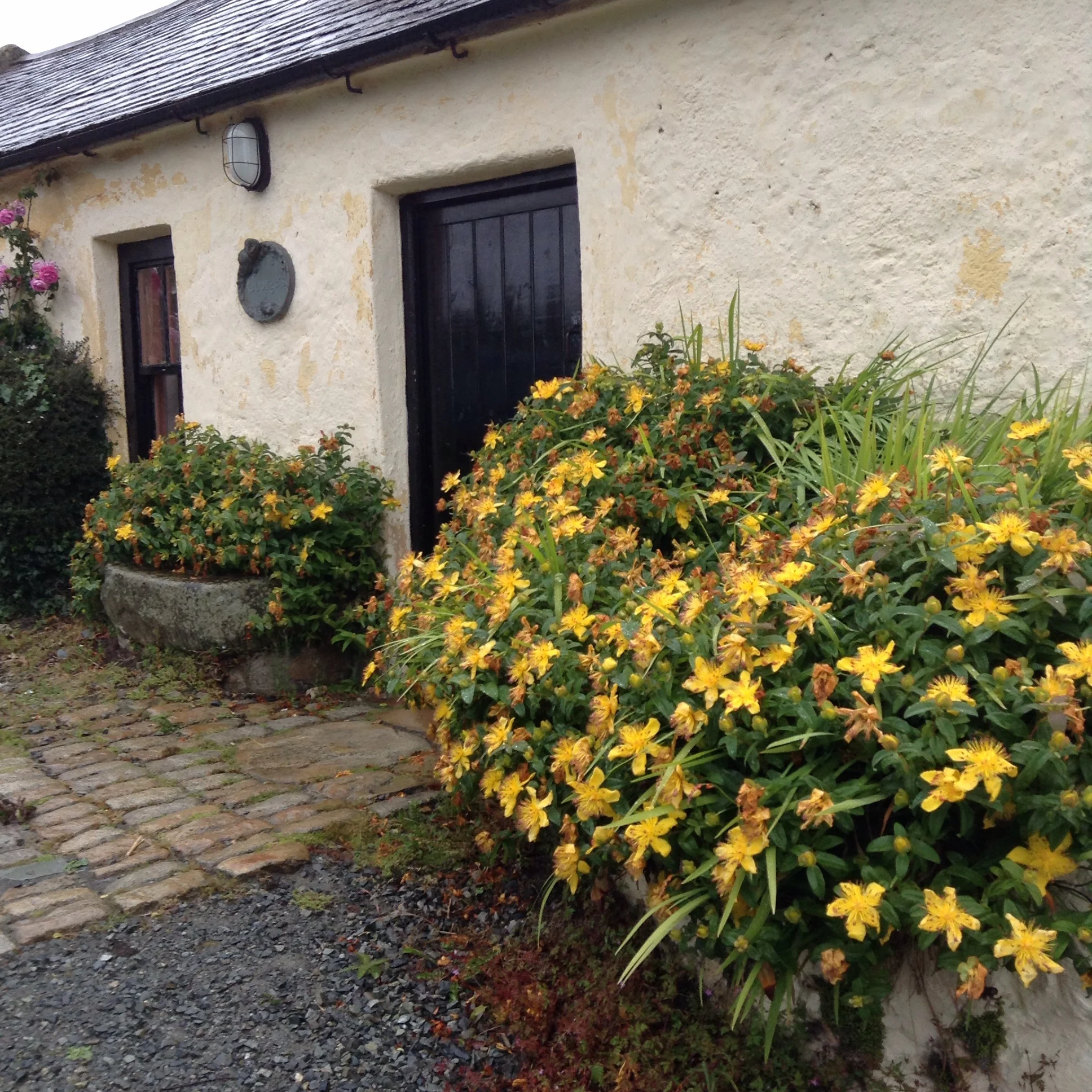 Holiday in History at Hanna's Close, Kilkeel — The World of Kitsch