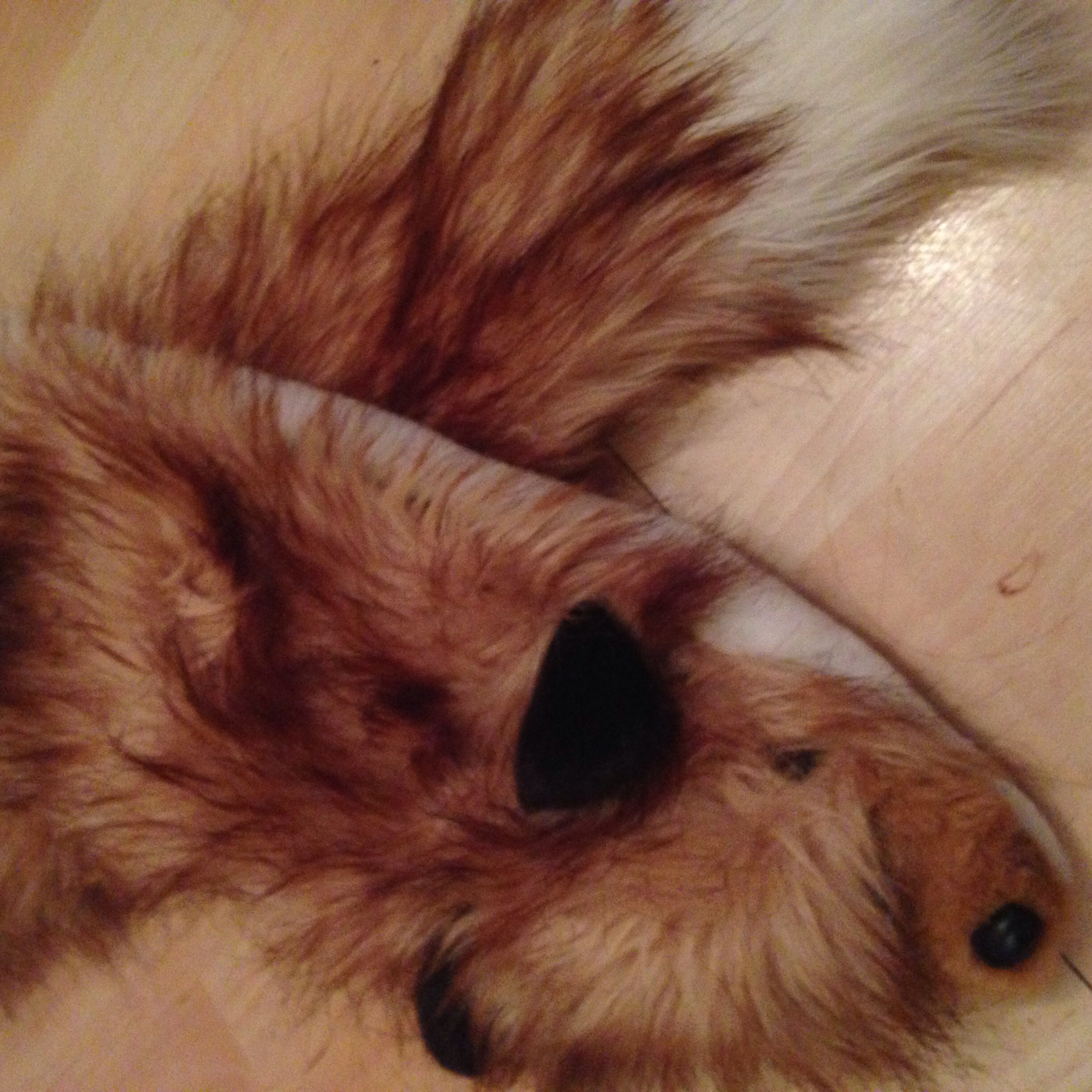 Fox fur scarf with Fox Face