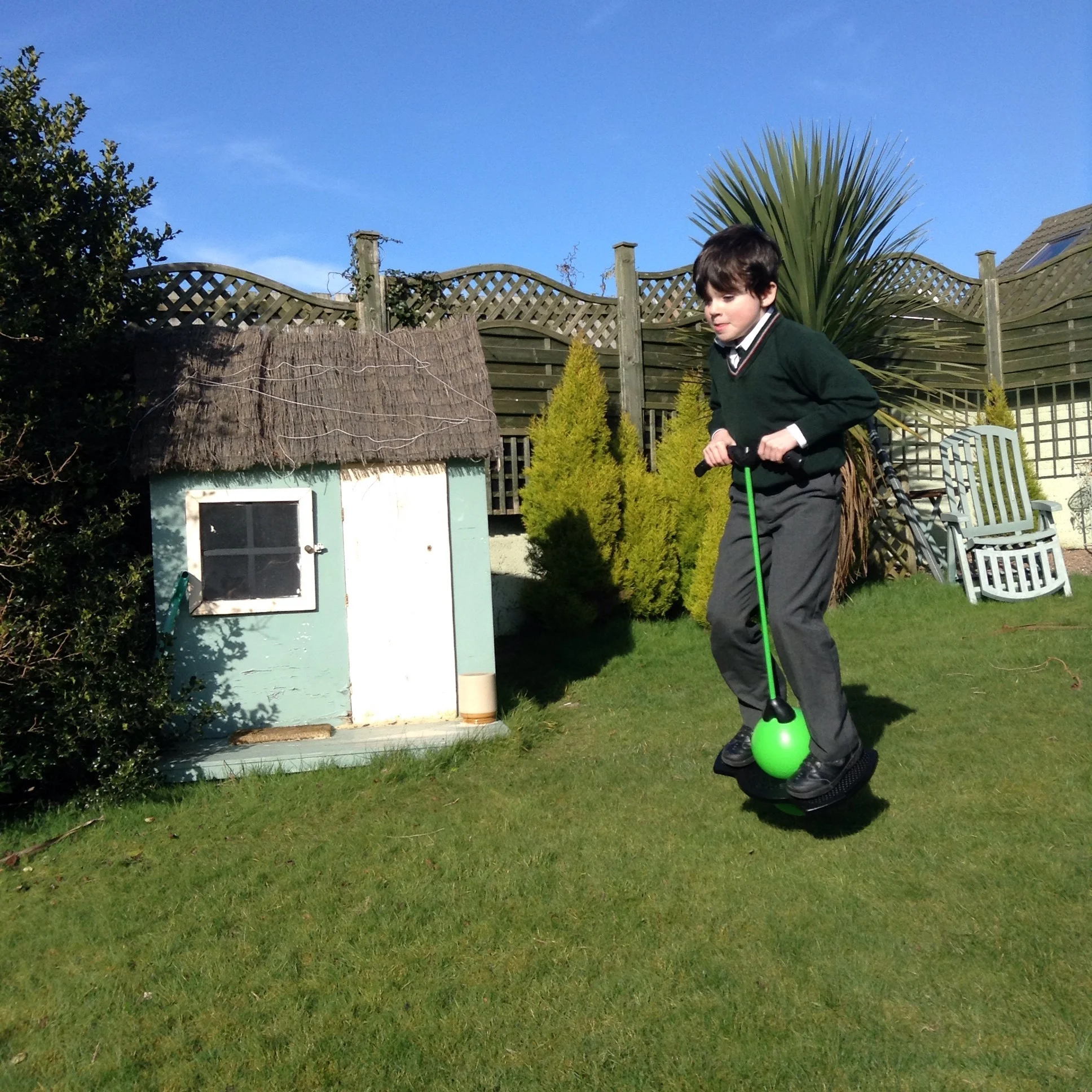 zoingo boingo target