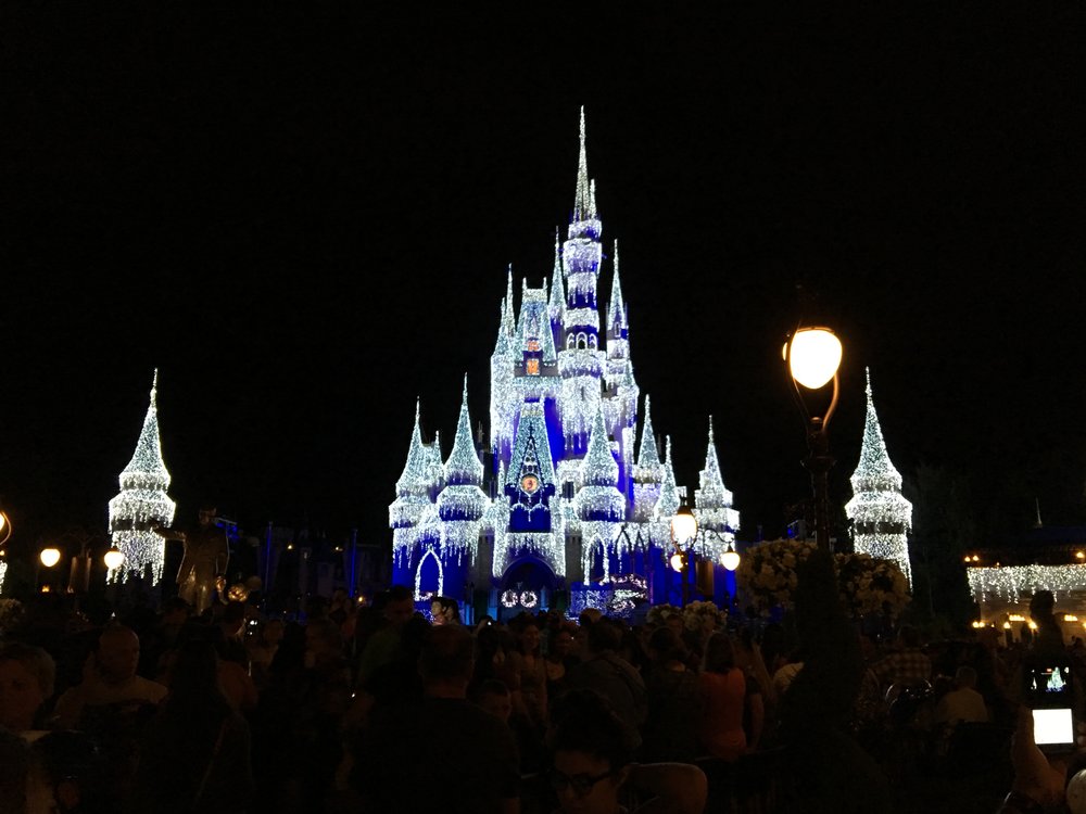 Cinderella's Castle Frozen