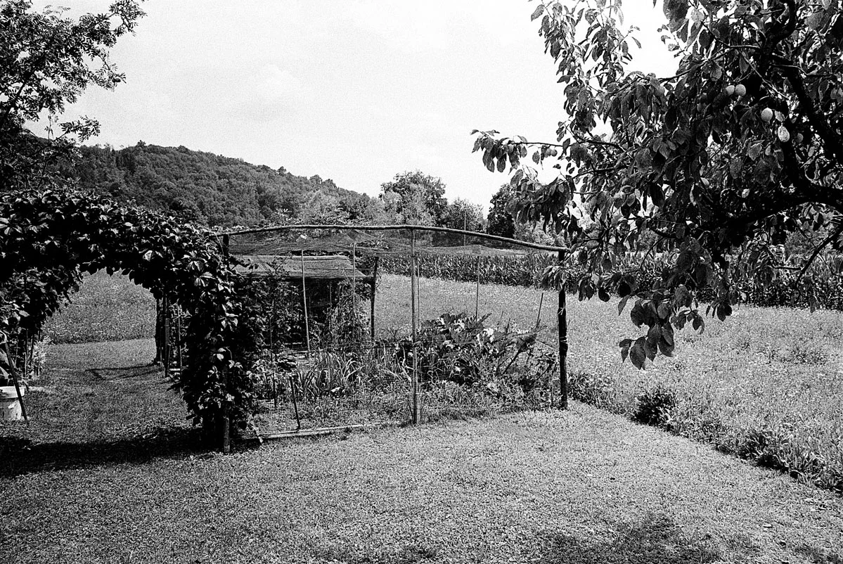 42_35_250718_LEICAM6_HP5_28.jpg