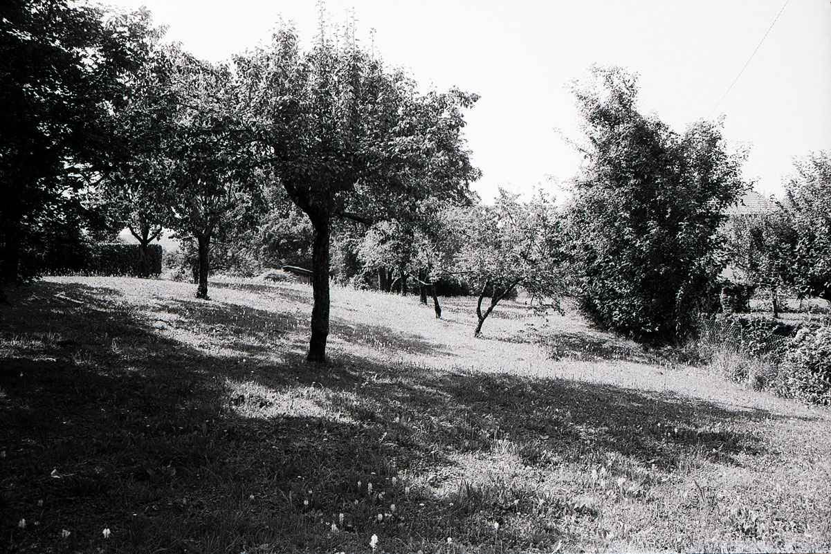 46_35_010818_LEICAM6_FP4_01.jpg