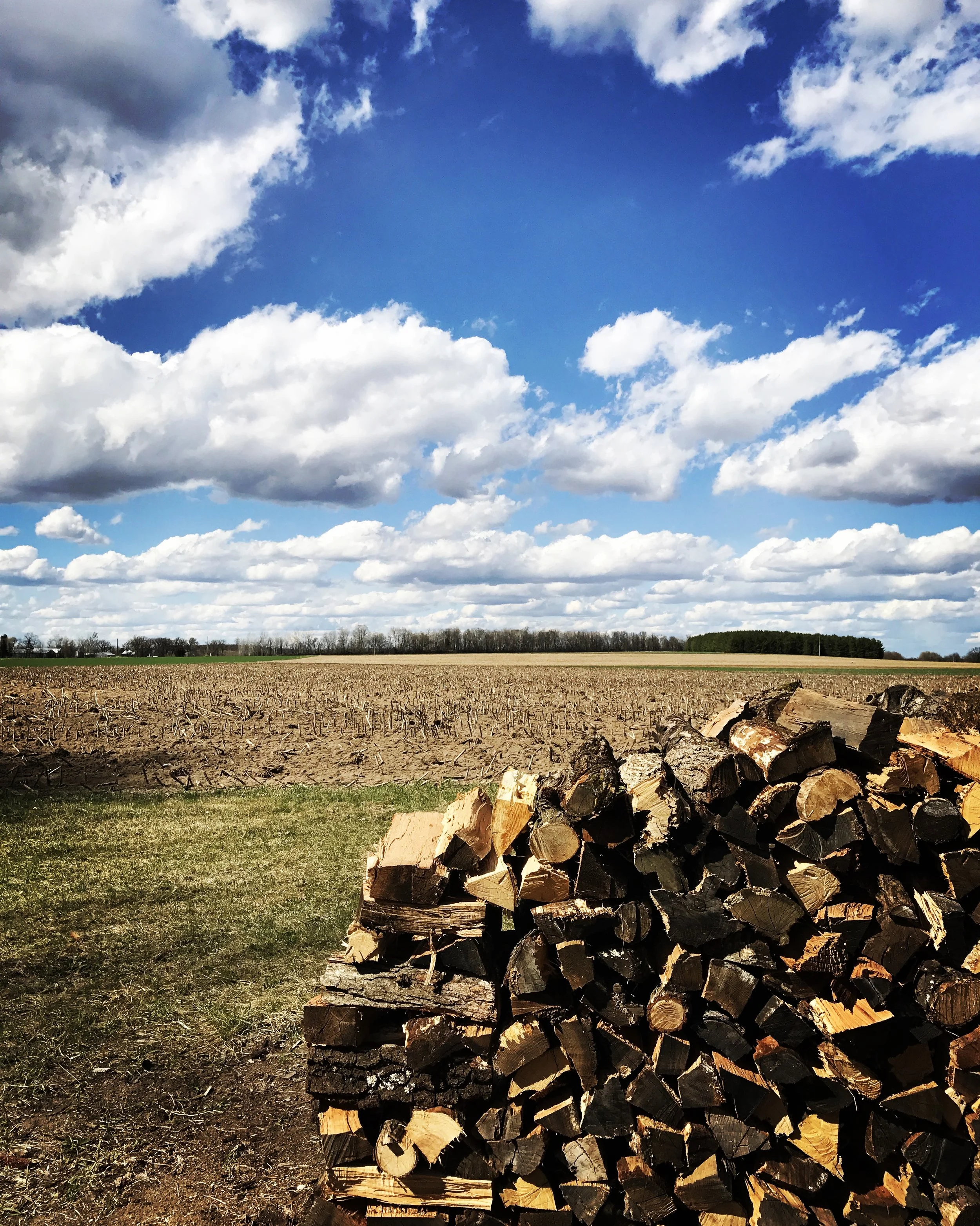 Hard working German, my dad, stacks wood as his regular workout.
