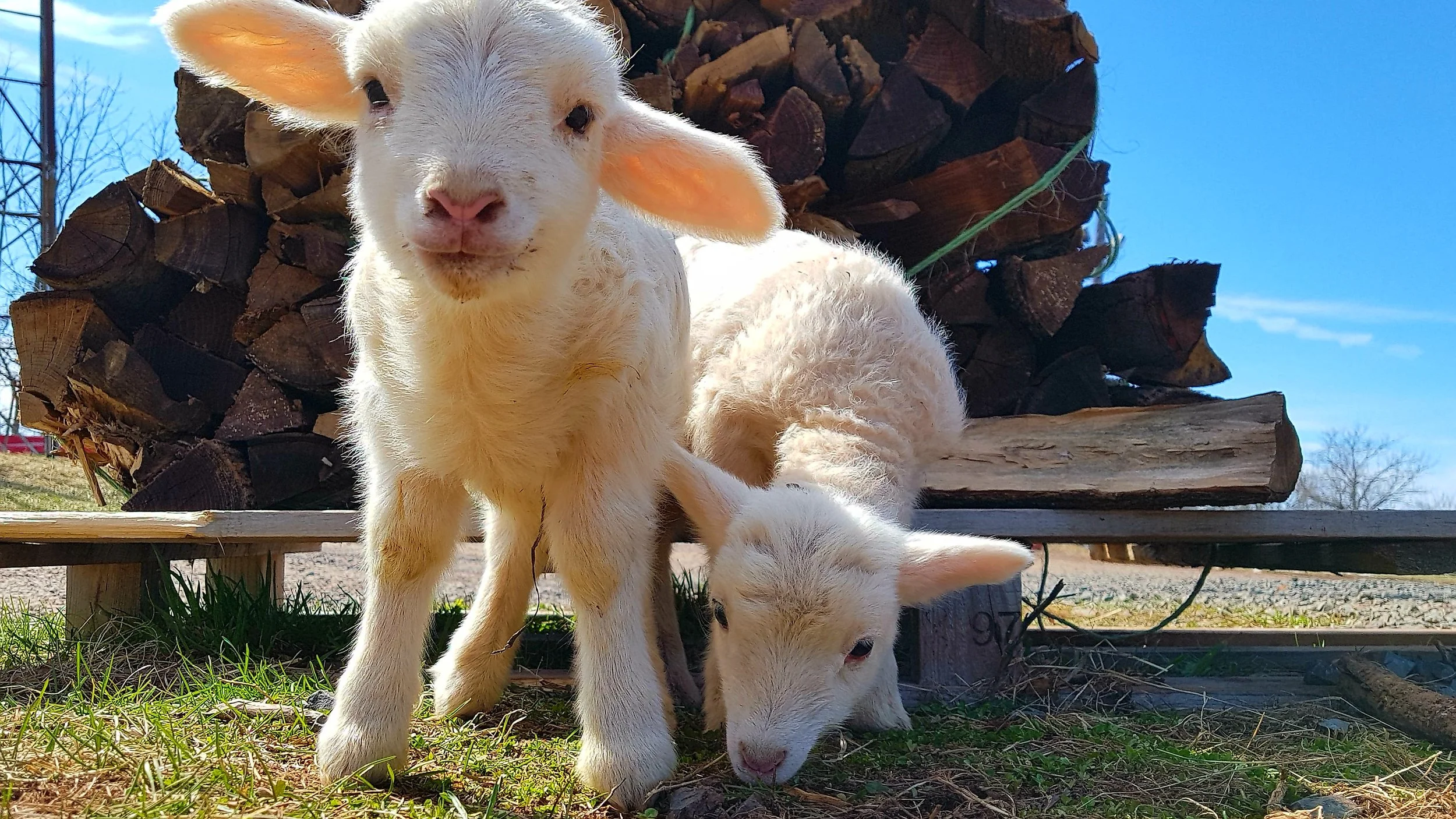 20180405_104032.jpg