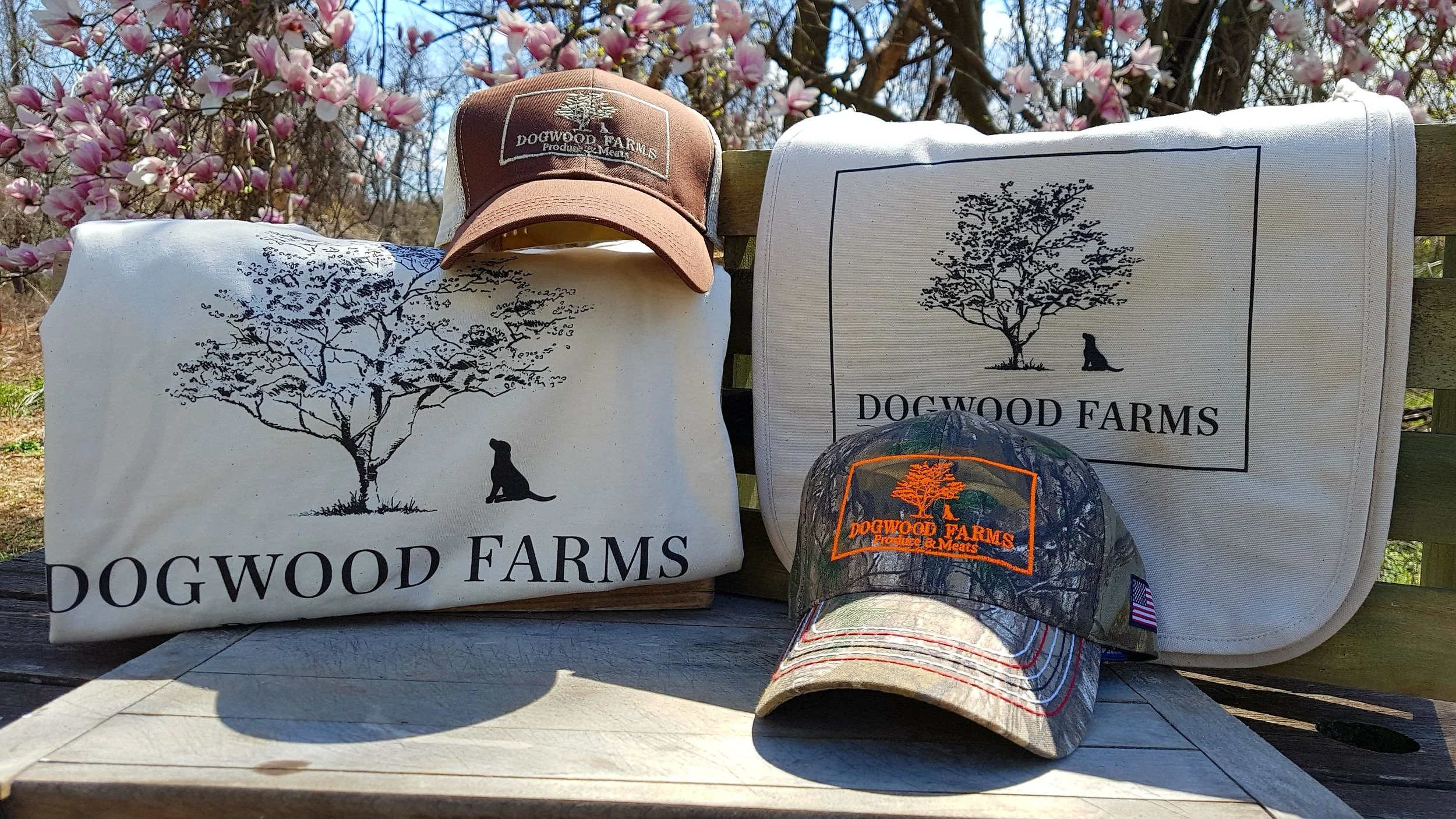 20180426_105603.jpg