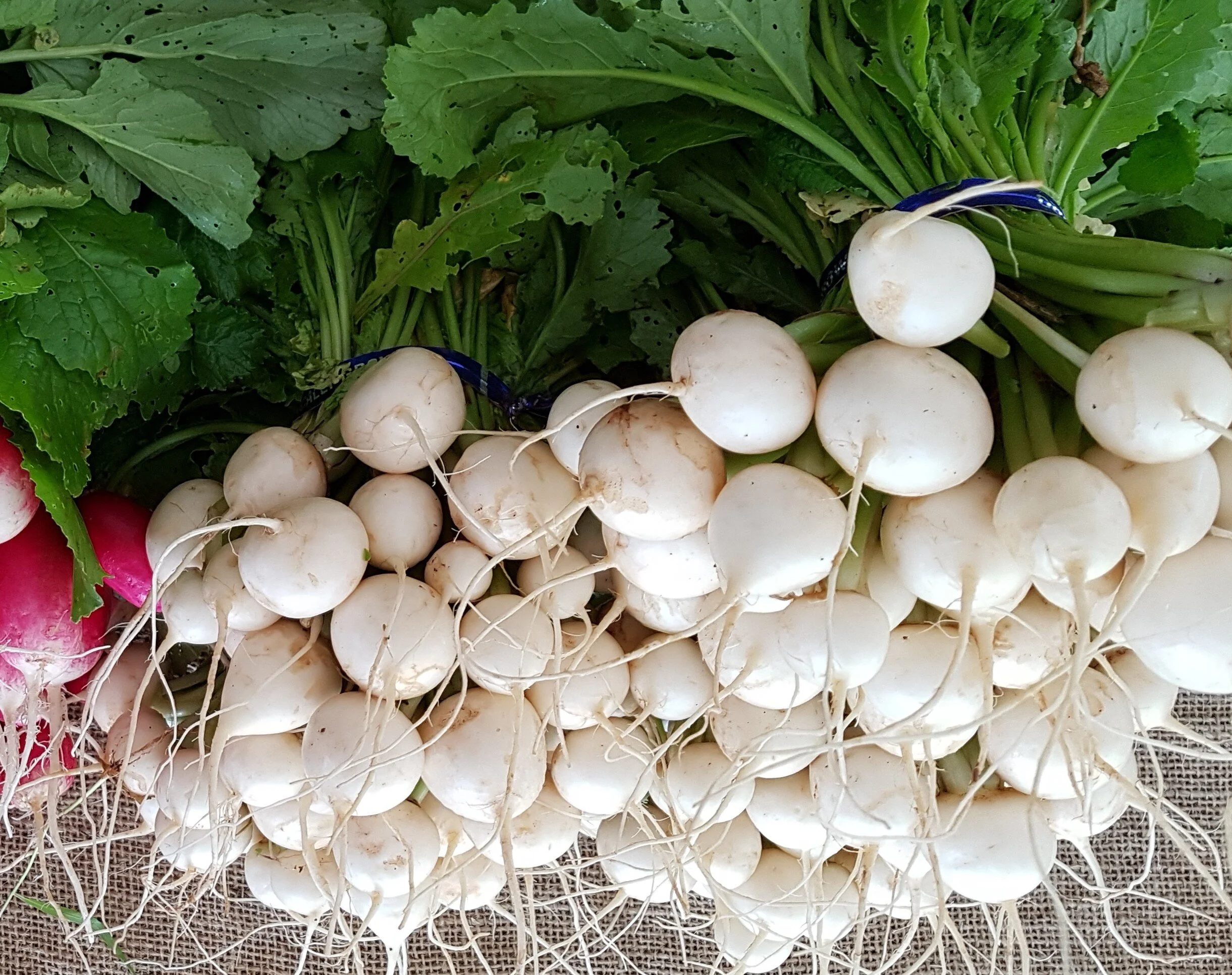 20180531_151925_2.jpg